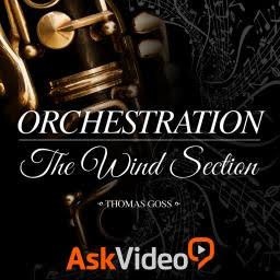 Ask video orchestration 103